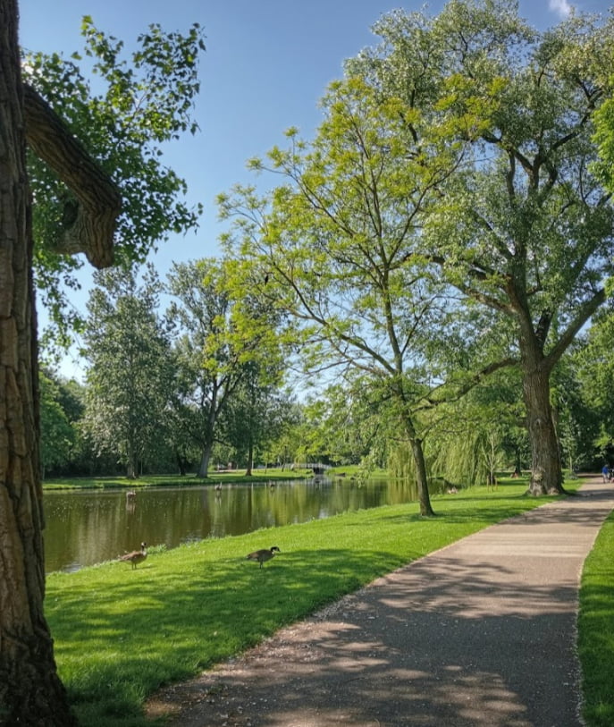 Stadspark-Kampen